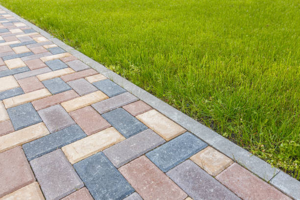 Best Driveway Paving Contractor  in Springdale, AR